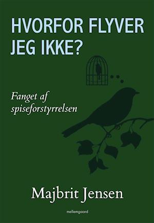 Hvorfor flyver jeg ikke?