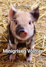 Minigrisen Volmer