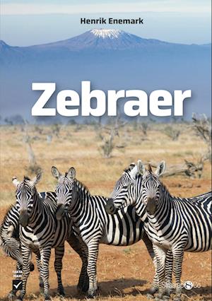 Zebraer