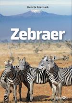 Zebraer 