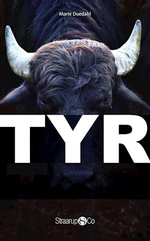 Tyr