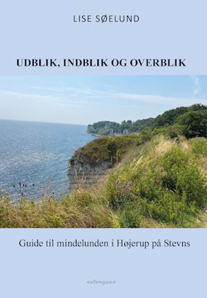 Udblik, indblik og overblik