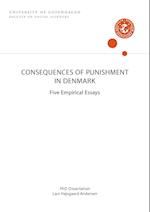Consequences of punishment in Denmark