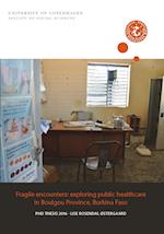 Fragile encounters: exploring public healthcare in Boulgou Province, Burkina Faso