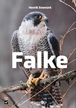 Falke