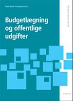 Budgetlægning og offentlige udgifter