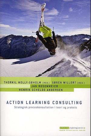 Action learning consulting