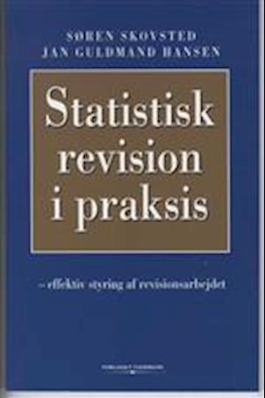 Statistisk revision i praksis