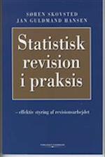 Statistisk revision i praksis