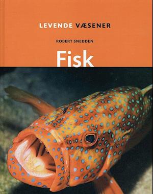 Fisk