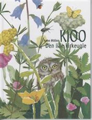 Kioo - den lille kirkeugle