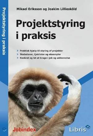 Projektstyring i praksis