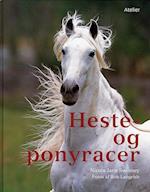 Heste- og ponyracer