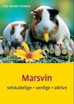 Marsvin