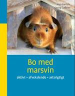 Bo med marsvin