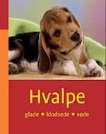 Hvalpe