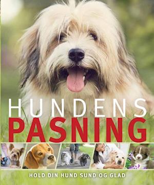 Få Hundens Paula Regan som Hæftet bog på dansk - 9788778576118