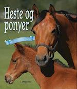 Heste og ponyer