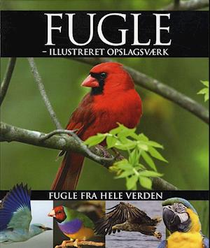 Fugle