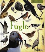 Fugle