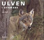Ulven i Danmark