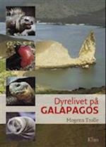 Dyrelivet på Galapagos