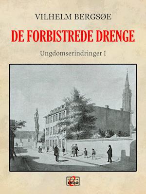 De forbistrede drenge