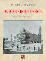 De forbistrede drenge