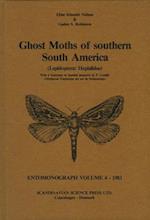 Ghost Moths of Southern South America (Lepidoptera