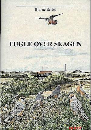 Fugle over Skagen
