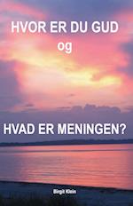 Hvor er du gud og hvad er meningen?