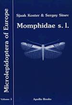 Momphidae S.L.