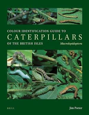 Colour identification guide to caterpillars of the British Isles