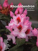 Rhododendron - og det der følger efter