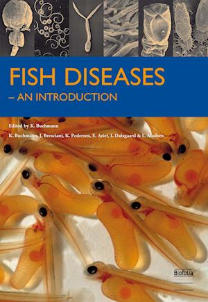 Fish Diseases