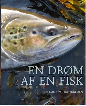 En drøm af en fisk - En bog om havørreden
