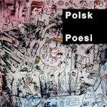 Polsk poesi