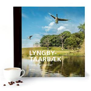 Lyngby-Taarbæk – Flere fragmenter