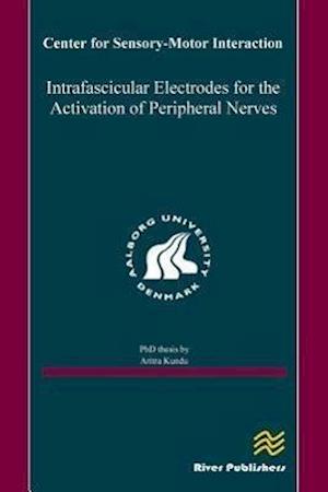 Intrafascicular electrodes for the activation of peripheral nerves