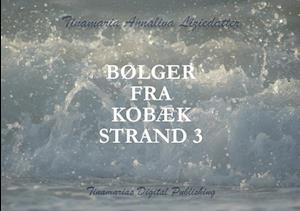 Bølger fra Kobæk Strand 3