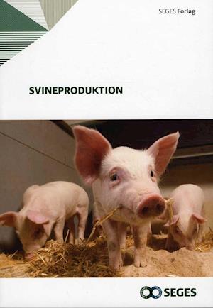 Svineproduktion