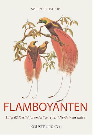 Flamboyanten