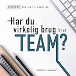 Har du virkelig brug for et team?