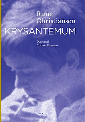 Krysantemum