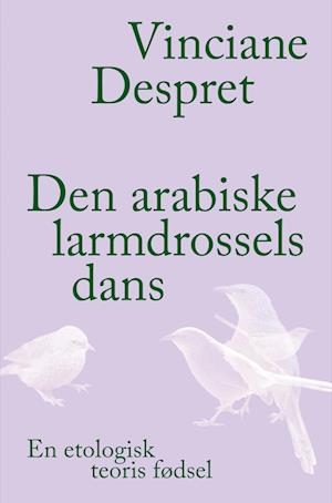 Den arabiske larmdrossels dans