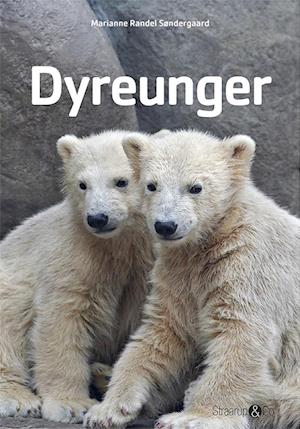 Dyreunger