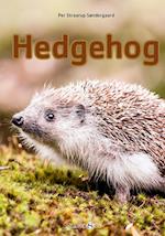 Hedgehog