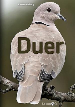 Duer