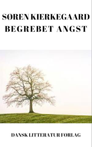 Begrebet angst