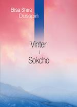 Vinter i Sokcho